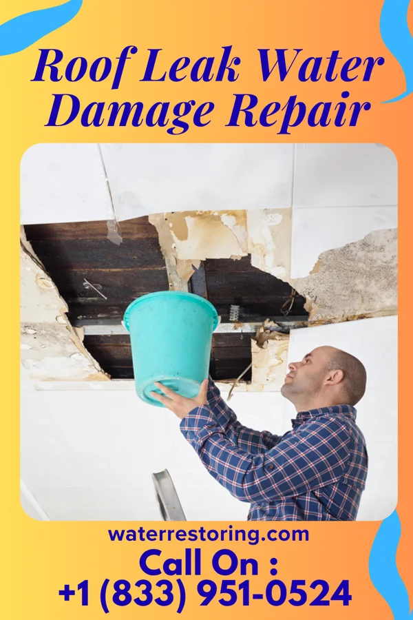 Roof Leak Water Damage Repair in Blackshear, GA